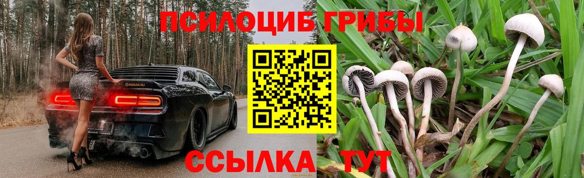 Псилоцибиновые грибы Cubensis  Вход с VPN  Кимовск 