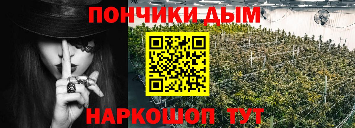 Бошки Шишки OG Kush Кимовск